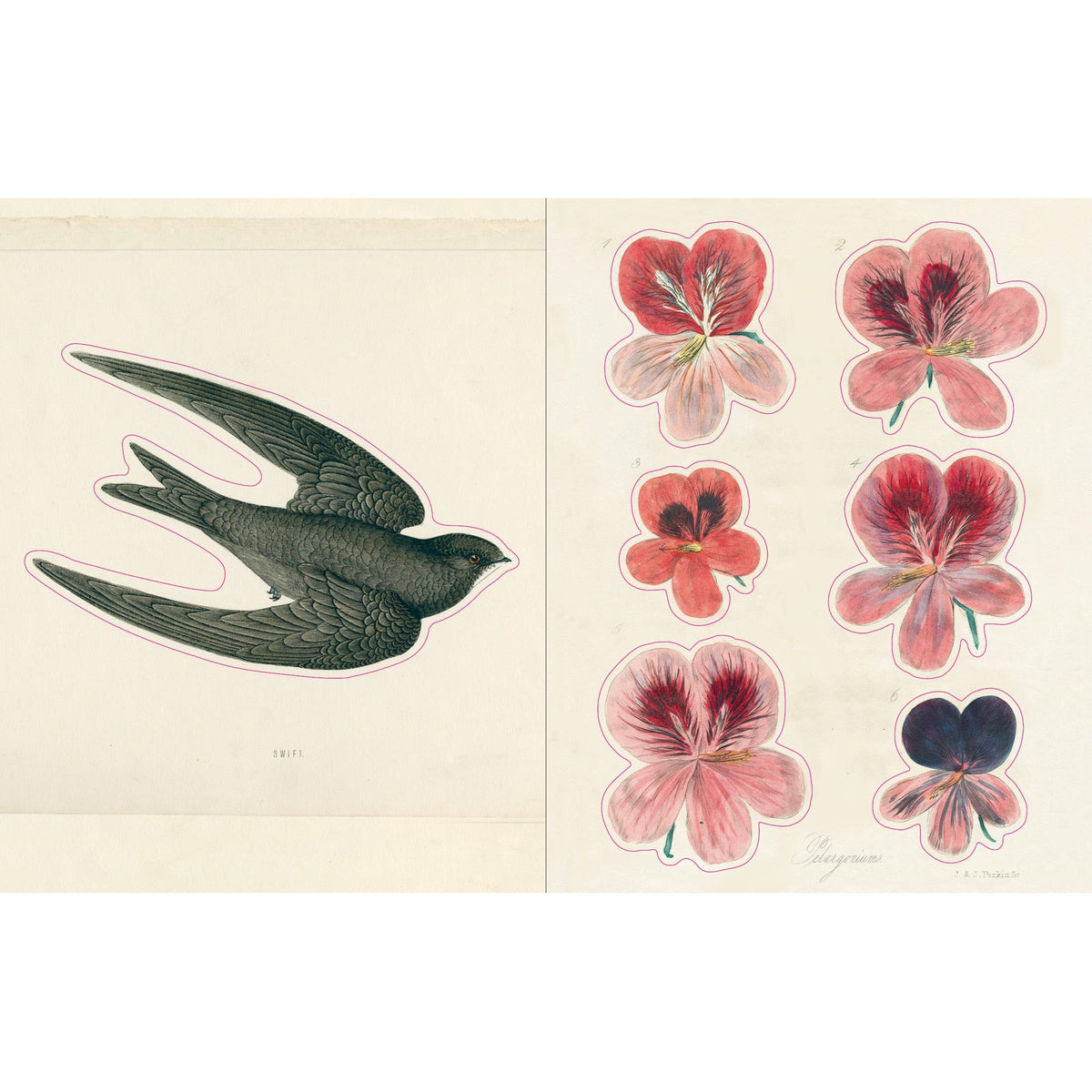ספר מדבקות - The John Derian Sticker Book