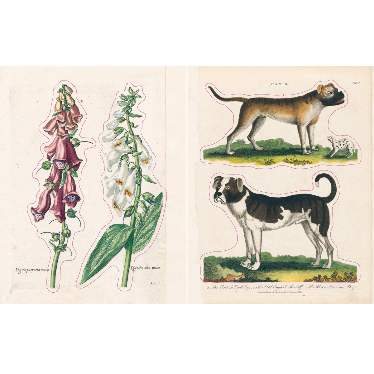 ספר מדבקות - The John Derian Sticker Book