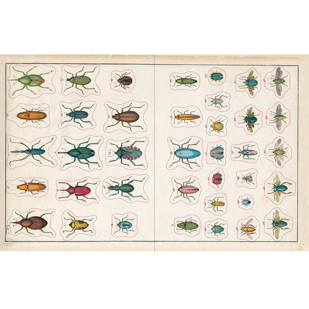 ספר מדבקות - The John Derian Sticker Book
