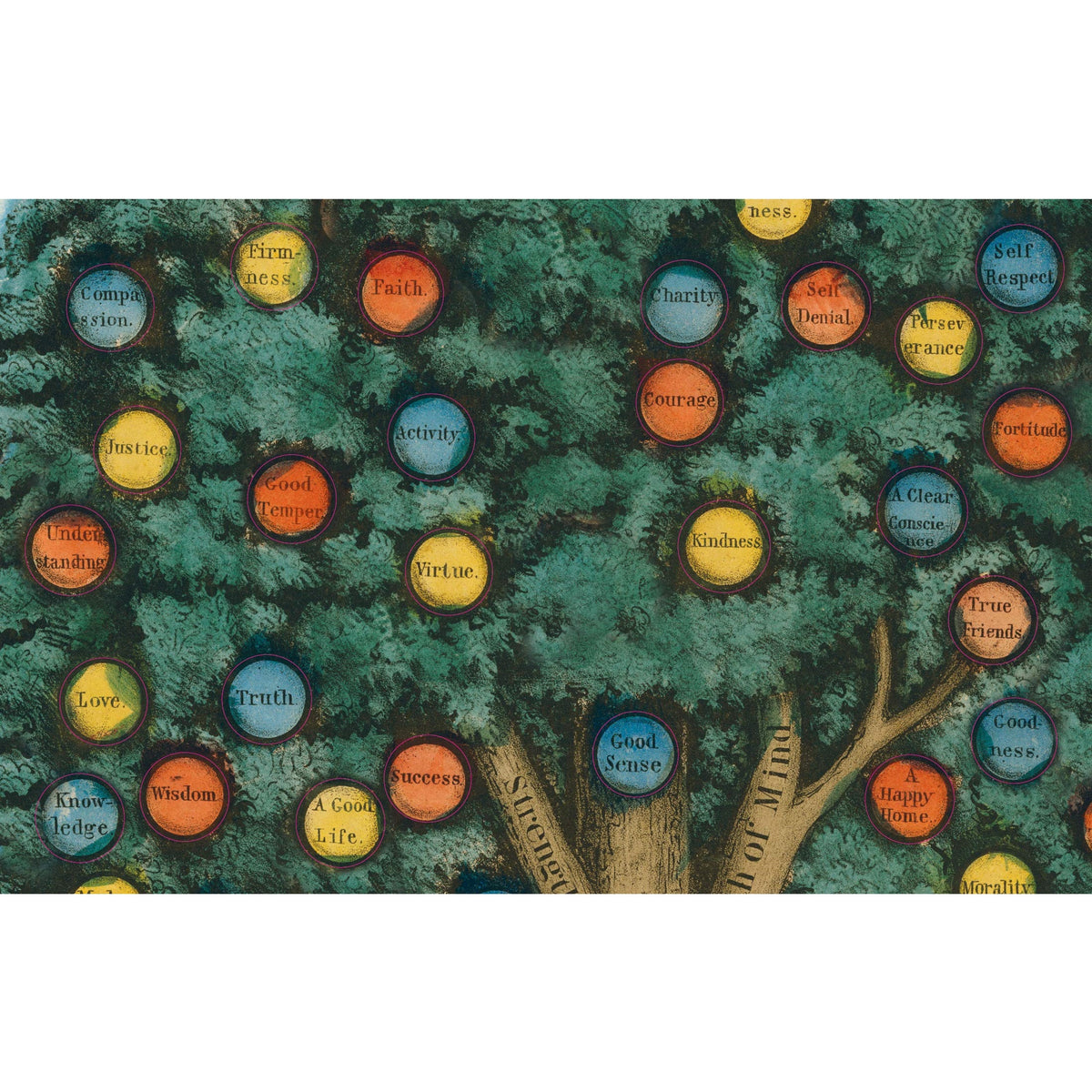 ספר מדבקות - The John Derian Sticker Book