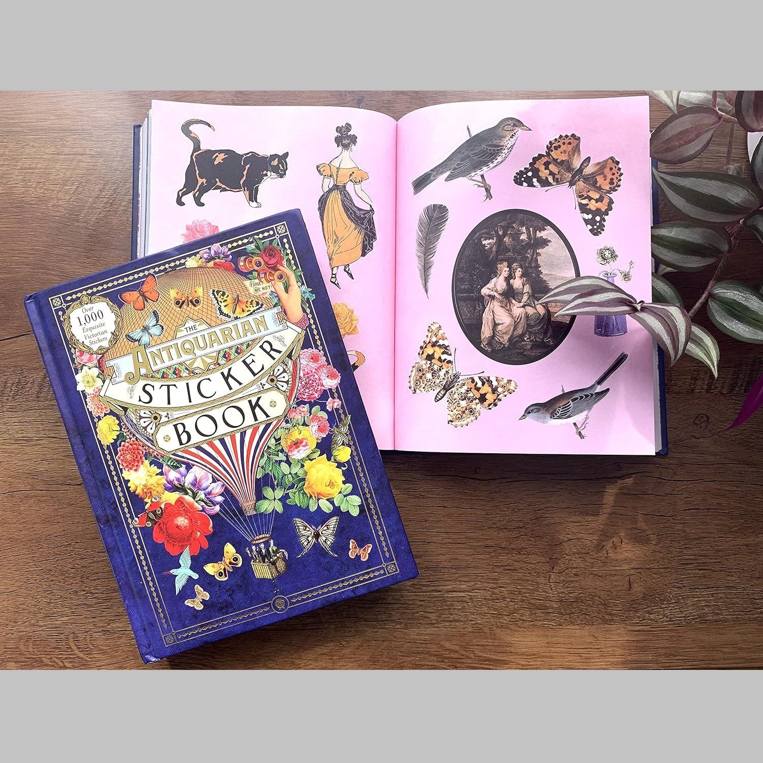 ספר המדבקות העתיקות: למעלה מ-1,000 מדבקות ויקטוריאניות מעולות