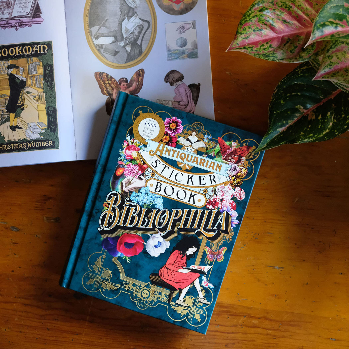 ספר מדבקות - The Antiquarian Sticker Book: Bibliophilia