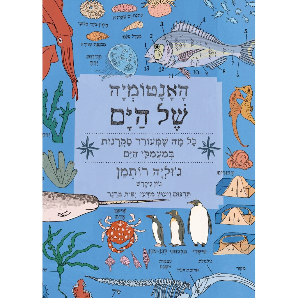 הָאָנָטוֹמְיָה שֶׁל הַיָּם